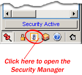 Open the Security Manager