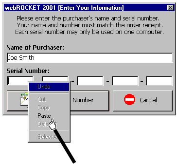 Select Paste from the drop down menu.